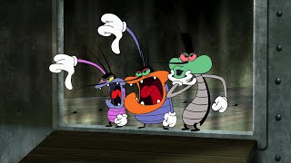 Oggy and the Cockroaches 😤😡 THREE ANGRY GUYS 😤😡 Full Episode in HD [upl. by Jilleen457]