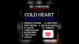 quotCOLD HEART RIDDIMquot MegaMix BIG YARD MUSIC General Degree Busy Signal Chris Martin [upl. by Kondon]