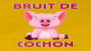 bruit de COCHON 🐽 grouinement [upl. by Esila]