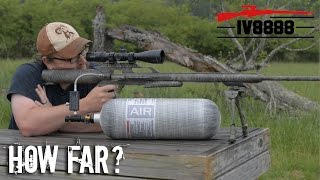 How Far Will an Air Rifle Kill Part 1 [upl. by Alded]