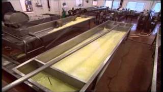 British Cheese Board  Making Cheese [upl. by Sells]