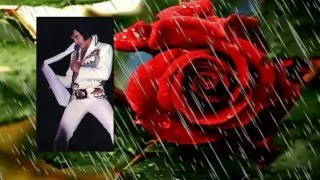 Elvis Presley  The Twelfth Of Never  rehearsal with lyrics [upl. by Ailecra]