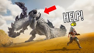 Monster Hunter Wilds WTF amp Funny Moments 1 [upl. by Vernier]