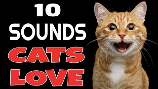 10 Sounds Cats Love To Hear The Most [upl. by Anivlek]