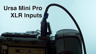 Ursa Mini Pro XLR Inputs amp Sound Features [upl. by Pentheas]