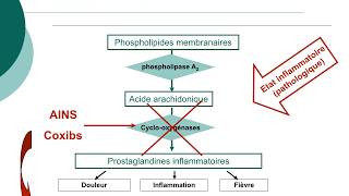 Pharmacologie des AINS et des corticoïdesCours commenté [upl. by Midis495]