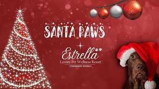 Santa Paws Celebration at Commando Kennels [upl. by Aretse19]