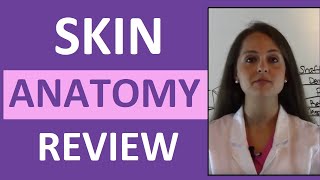 Anatomy amp Physiology Integumentary Skin System Overview [upl. by Kra]