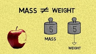 The Difference Between Mass amp Weight [upl. by Porty]