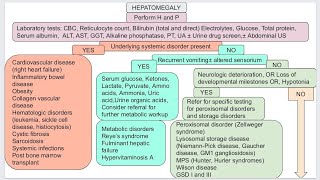 Hepatomegaly in pediatric [upl. by Enahc]