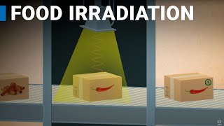 Using Nuclear Science in Food Irradiation [upl. by Akehsal]