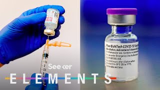 What’s In the Pfizer amp Moderna COVID Vaccines [upl. by Hyman]