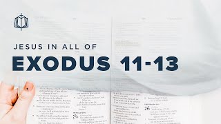 Exodus 1113  Passover  Bible Study [upl. by Valina323]