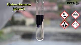 THE FERRIC CHLORIDE TEST FOR PHENOLS [upl. by Suk]