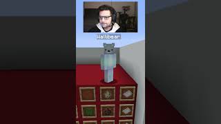 WALLIBEAR TAKES ON MOB ARENA gaming ⁠youtube funny minecraft memes tiktok shorts ytshorts [upl. by Proulx]