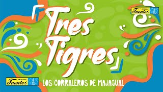 Los Corraleros de Majagual  Tres Tigres  Discos Fuentes [upl. by Corty]