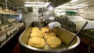 Cheese Making Process [upl. by Wack28]