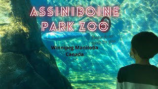 Exploring ASSINIBOINE PARK ZOO Winnipeg Manitoba Canada [upl. by Acirtal]