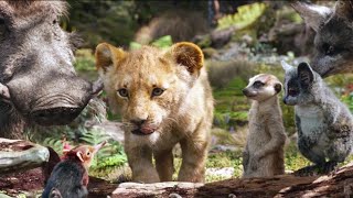 The Lion king  Simba 🦁 Jungle Story Explained in Hindi [upl. by Lesak662]