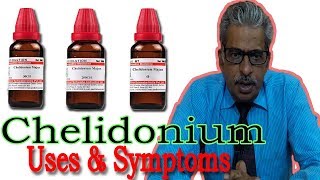 Chelidonium  Symptoms and Uses in Homeopathy by Dr PS Tiwari [upl. by Whitehurst]